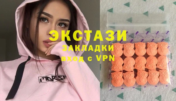 индика Снежинск